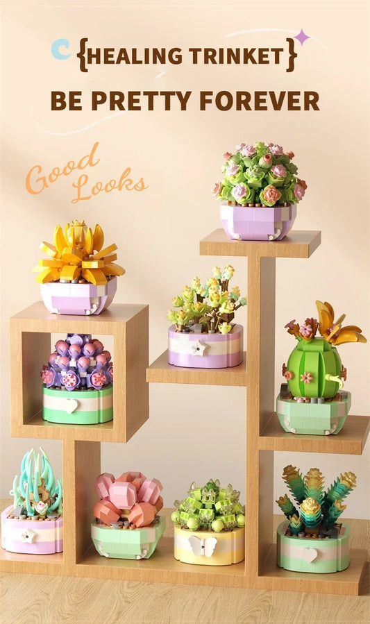 Mini Suculentas e Flores de Montar - Presente Criativo e Decoração