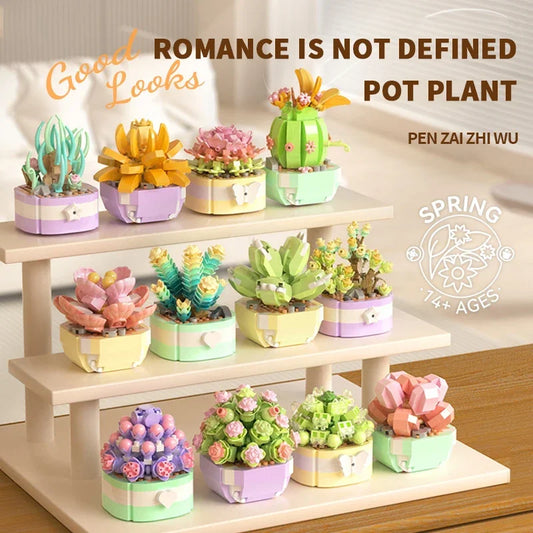 Mini Suculentas e Flores de Montar - Presente Criativo e Decoração